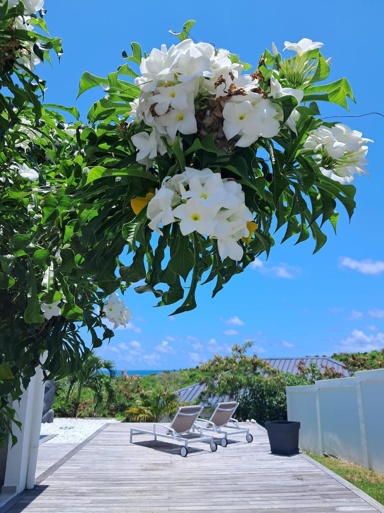Villa Moai Cul de Sac Eksteriør bilde